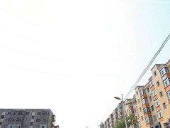 黑龙江绥化安达新兴街道天气预报