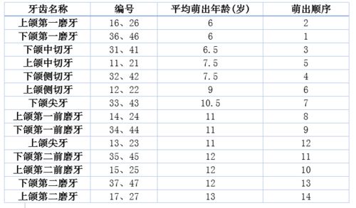 牙齿萌出顺序如下图 信息评鉴中心 酷米资讯 Kumizx Com