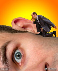 面相分析 大耳朵的人能够掌握住自己的人生吗