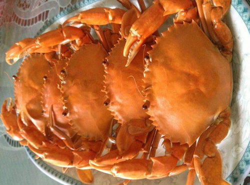 螃蟹能煮着吃吗 如果可以的话,需要煮多长时间 