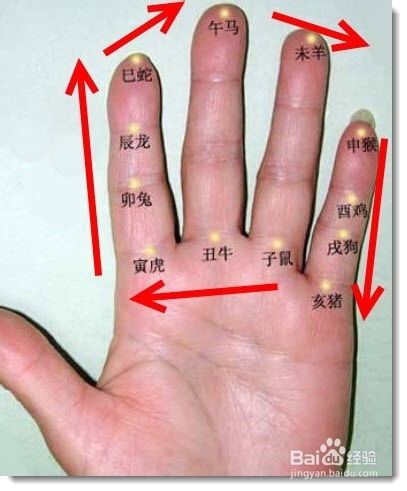 如何通过手指快速计算年龄和属相 