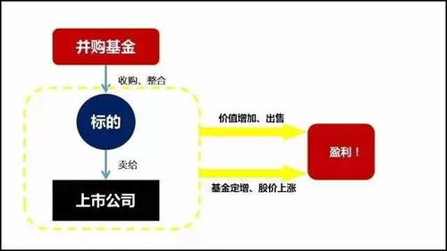 哪间基金公司最好?