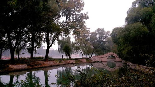 城市风水,邢台 龙岗 安何在