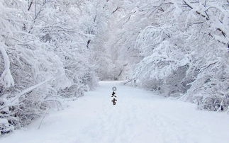 大雪节气补补补 开春来打虎