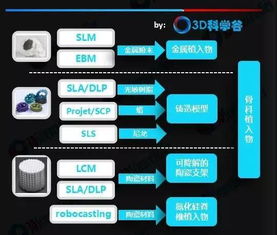 中国3D打印骨科植入物专利格局 