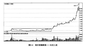 选择黑马股有何技巧？