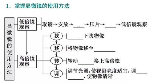 走进细胞 知识 解析 选题,超干货总结