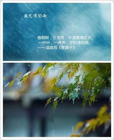 关于雨和人的诗句有哪些