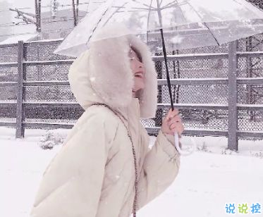 你那里下雪了吗抖音