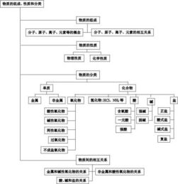 高中化学知识体系精编 高三必背 