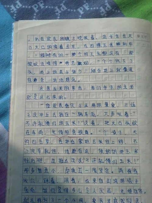 小竹林作文700字