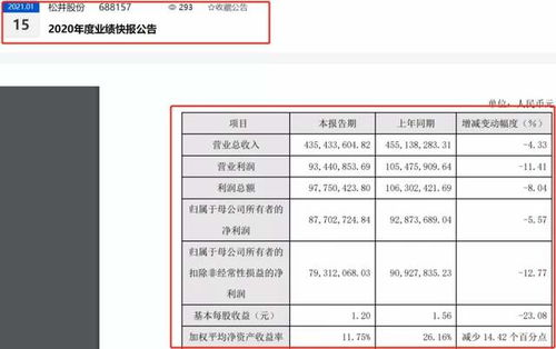 股份 股票 公司等 属于哪科