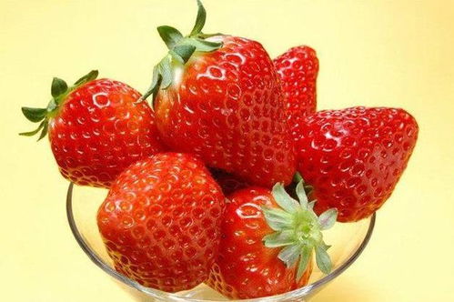 草莓是摩羯座 草莓是摩羯座的星座吗