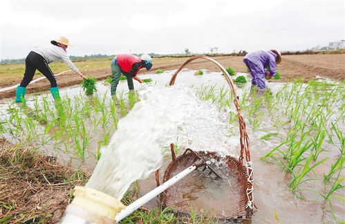 我国地下水储量有多少 堪比705个青海湖的水量,如何查出来的