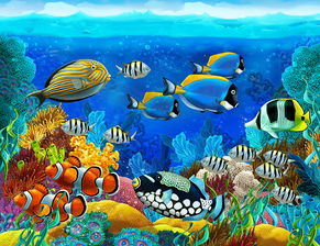 海底世界 图片信息欣赏 图客 Tukexw Com