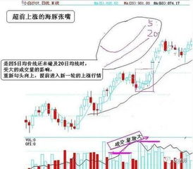 海豚股票的蓝带加小黄点是什么意思