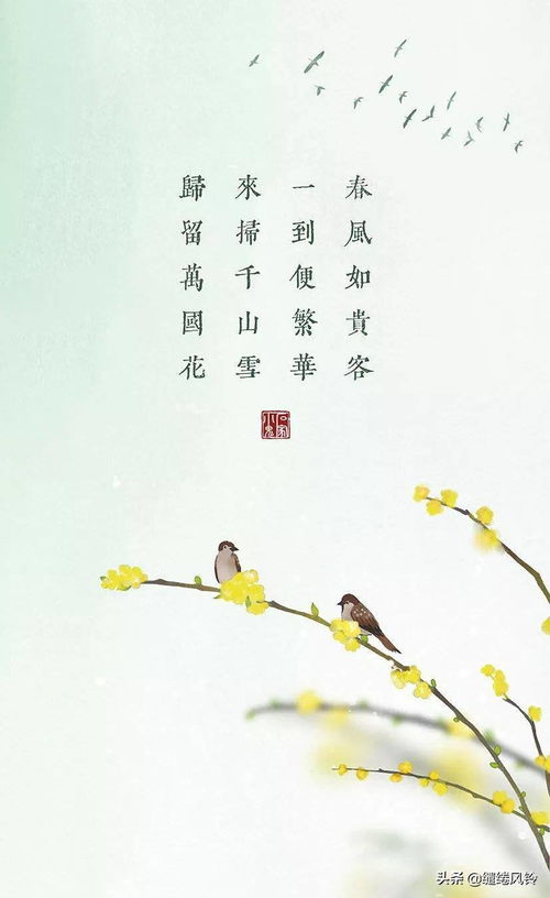 关于春天花朵的诗句,关于春天的山的诗句古诗词,春天奋斗的诗句古诗词