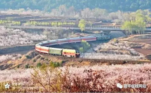 关注丨叶柏寿开往春天的列车 一路美景一路歌 太美了 这是中国建平