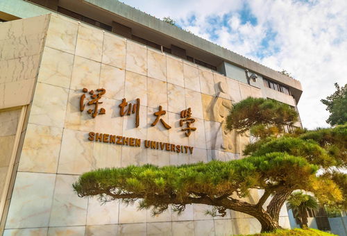 深圳里大学有哪些
