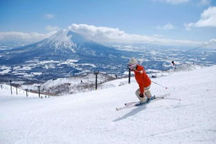 一生必去的10大日本滑雪场,你打卡了几个