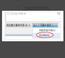 WPS文字如何转换全角半角符 