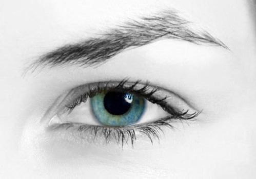关于怎样护眼睛的冷知识？关于护眼的小技巧(护眼小技巧十条)