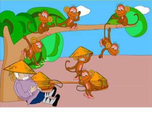 猴子和老鼠能结婚吗 