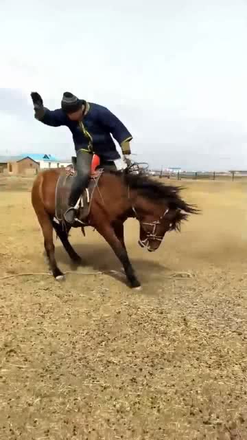 训马大师看看没谁了,就是个霸气 