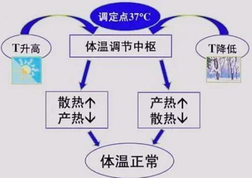 30 的水让人感觉冷,可为何30 的气温却让人感到热