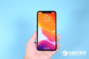 iPhone 11销量出色 苹果或在iPhone 12上保留LCD液晶屏 