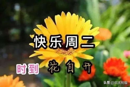 有些事,轻轻放下,未必不是轻松 有些人,深深记住,未必不是幸福