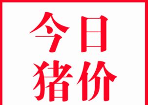 今日猪肉价格走势 今日猪肉价格多少钱一斤 8月20日全国猪肉最新价格行情 物价 