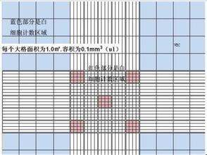 同一种菌液用血球计数板和平板计数法同时计数，所测得的结果是否一样？为什么？