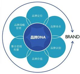 北京大学新营销实战研修班