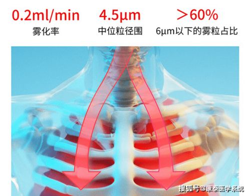 雾化器用完别急着放起来,做对这两步,干净清洁不滋生细菌