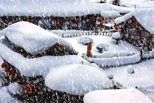 每日一歌 你的世界为谁飘着雪