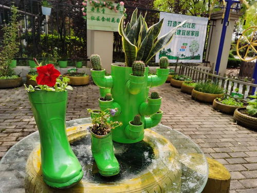 旧轮胎 旧雨鞋秒变花盆菜盆,居民直呼 再也不舍得扔了