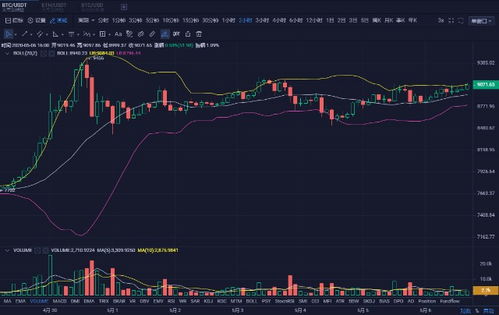 比特币也被带崩了—群里有个孙哥带大家做比特币