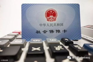 不上班还有必要缴纳社保吗，为什么