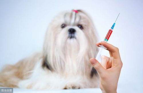 宠物医院都在推荐给狗打进口八联疫苗,是为了多赚钱还是另有所图 