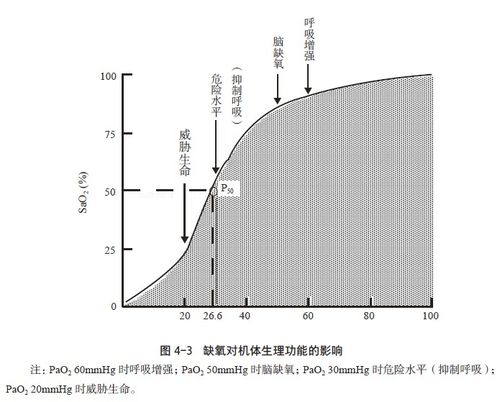 窥探大脑奥秘——红外线热成像脑血氧流技术解析