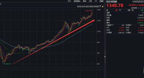 证券交易所目前的行情这么好为什么证券的股票涨得这么慢