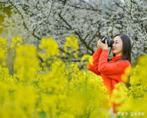 油菜花人像想要提升唯美感,这几个细节请注意,照片好看又高级