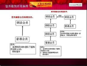 网络资本 运作是什么意思？