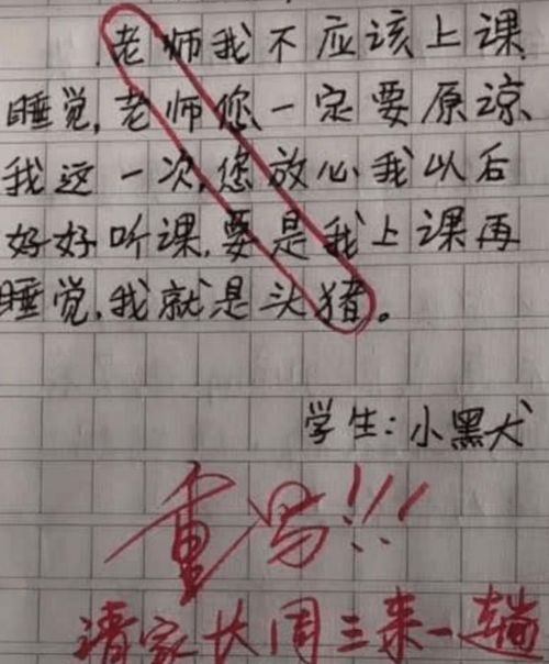 老师你真丑 ,小学生检讨书走红,老师看了气不打一处来