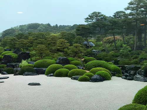 庭院地面平坦,如何打造出错落有致层次分明的庭院