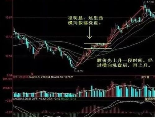 有没有那种掌控全部A股市场的庄家？到底庄家有多大？是只存在于每个个股还是有一两个超级大庄掌控A股