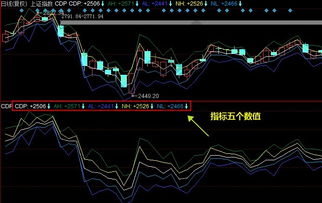 股票CDP代表什么意思