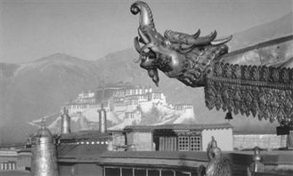 摩羯 西藏人对大海想象的符号