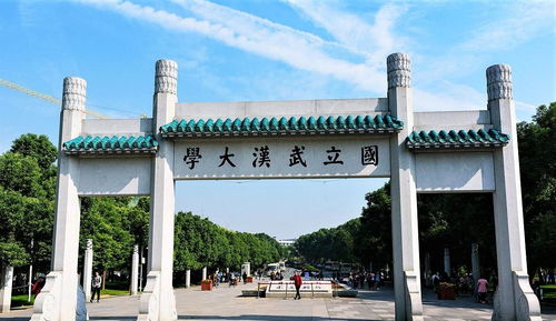 武汉大学有多少个专业